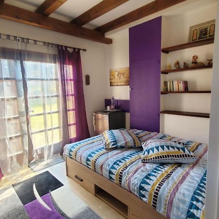 Maison Le Lezard Chez Amalia Et Fred 托农莱班 外观 照片