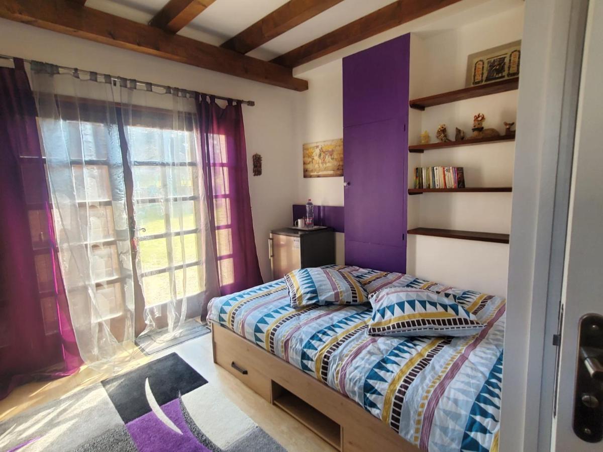 Maison Le Lezard Chez Amalia Et Fred 托农莱班 外观 照片